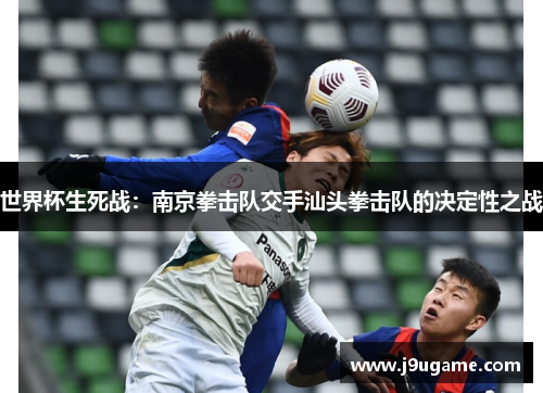 世界杯生死战：南京拳击队交手汕头拳击队的决定性之战